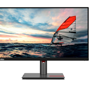Lenovo ThinkVision P25i-30 24.5" FHD Monitor 63F4MAT1UK
